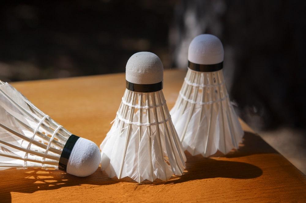 How to Pick the Best Badminton Accessories for Men?